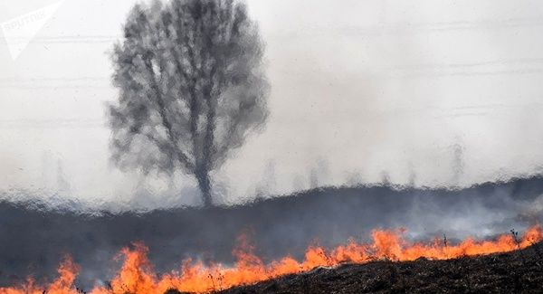 http://yazdfarda.com/media/news_gal/file_165868.jpeg