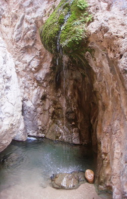http://www.yazdfarda.com/media/news_gal/file_30408.jpeg