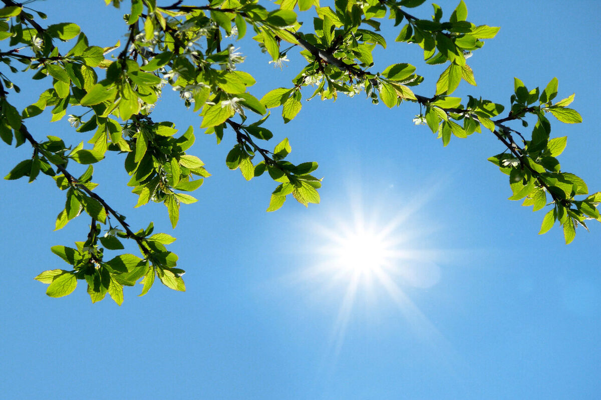 شرایط جوی پایدار برای یزد تا اواسط هفته آینده