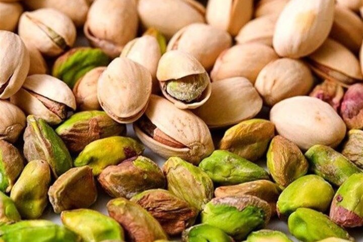 پیش‌بینی برداشت بیش از ۱۱ هزار تن پسته خشک از باغات خاتم
