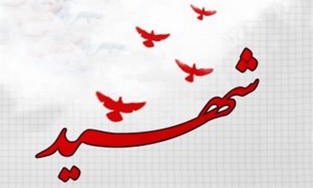 آماری جالب از دفاع  مقدس که تاکنون نشنیده اید