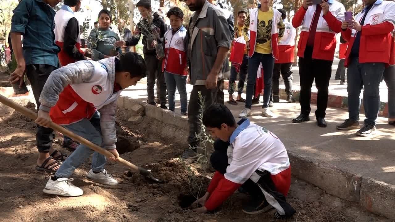 کاشت بیش از ۲۰۰ نهال در جوار گلزار شهدای گمنام مبارکه بافق