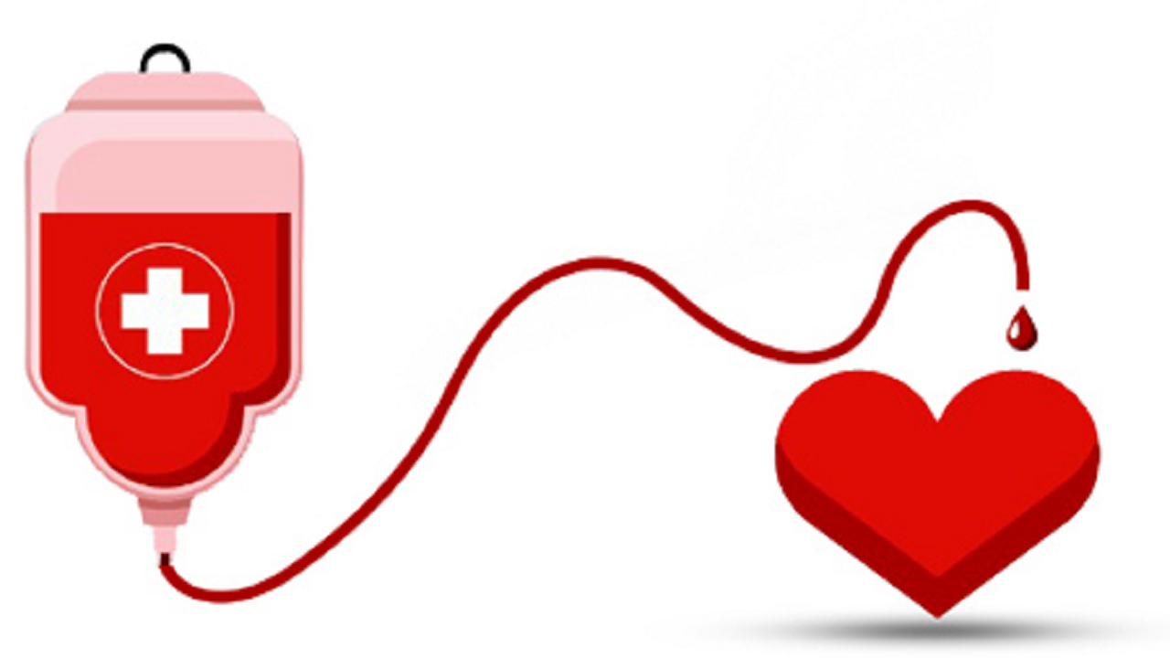 قرار مهربانی جوانان هلال احمر خاتم برای اهدای خون