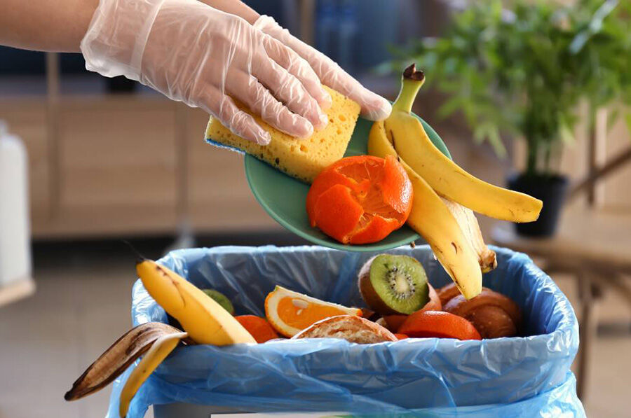 پیشگیری از دورریز موادغذایی، غذای ۱۵ میلیون نفر را فراهم می‌کند