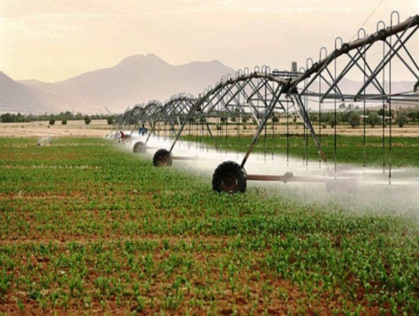 مصرف 83 درصد از آب یزد در بخش کشاورزی/ باید الگوی کشت در استان یزد تغییر کند