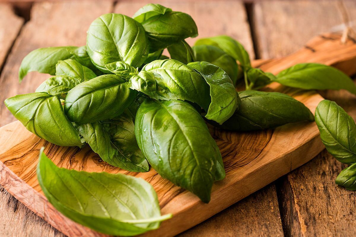 این سبزی خواص ضدنفخِ شگفتانگیز دارد