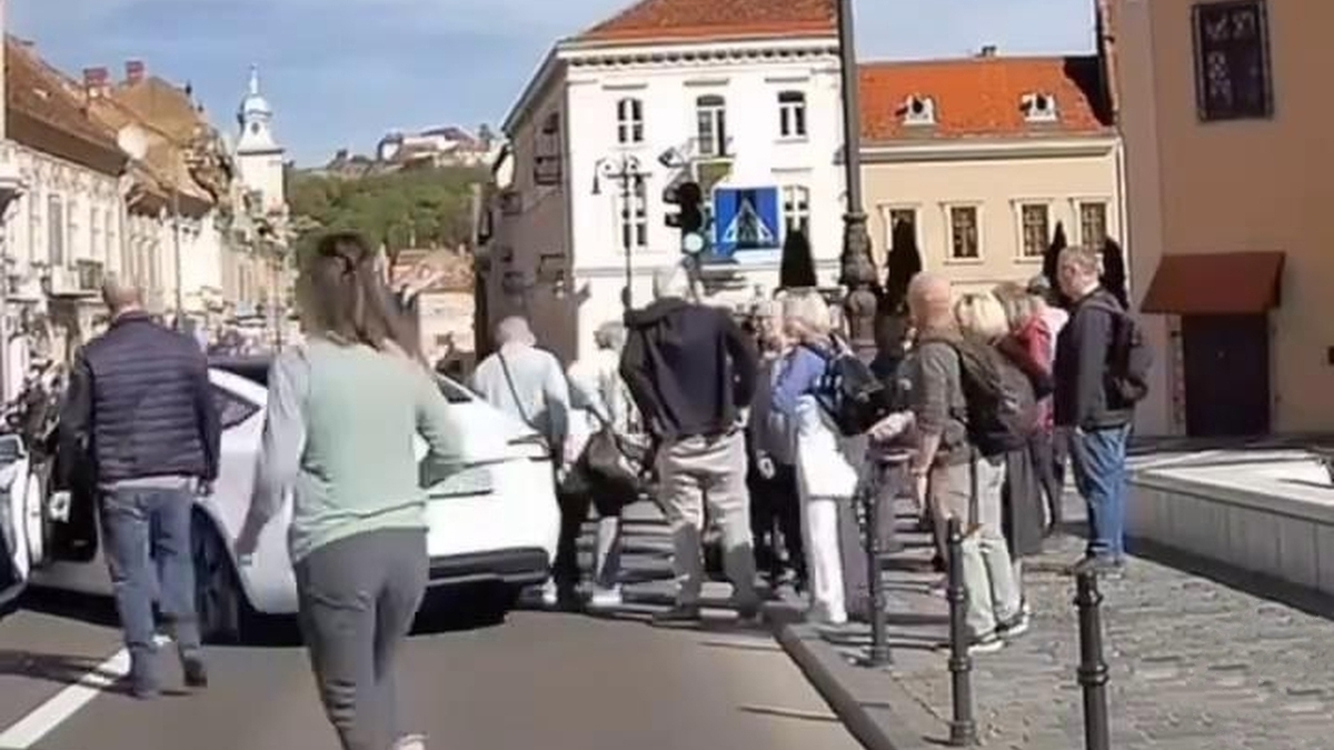 فیلم| سیستم خودران تسلا، جان عابر را نجات داد