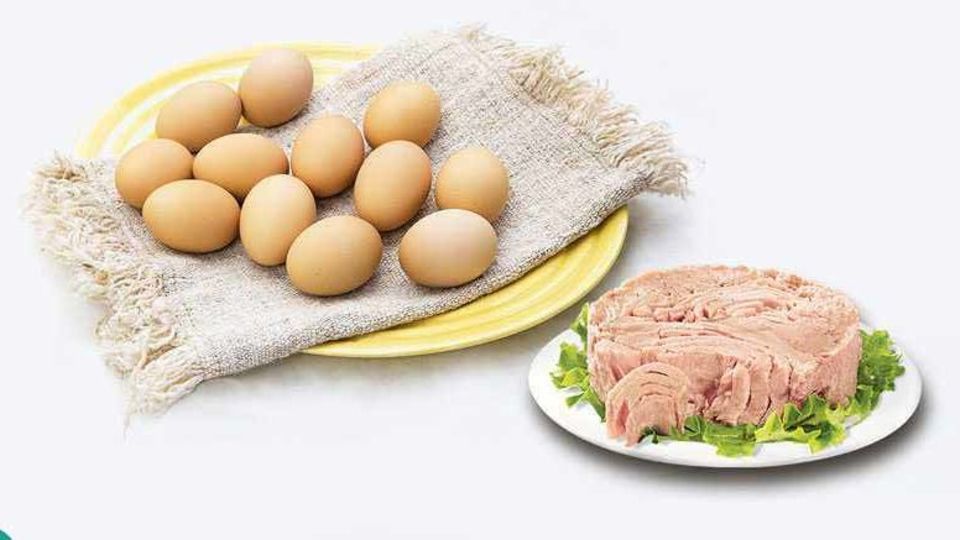 ترکیب تخم مرغ و تن ماهی در معده تولید کرم می کند