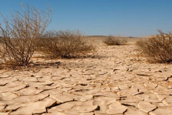 تخریب یک‌سوم خاک‌های جهان