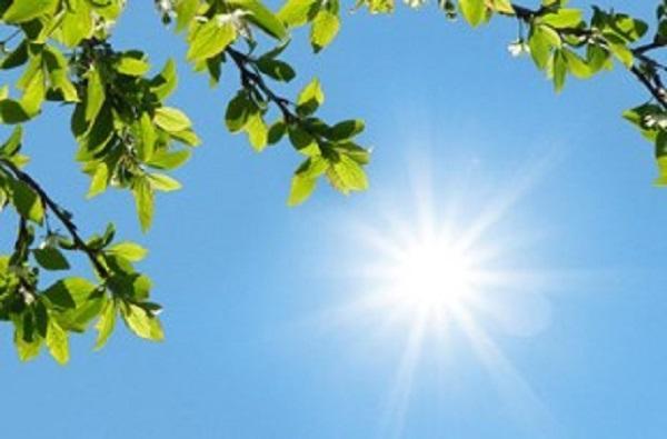 افزایش نسبی دما در یزد