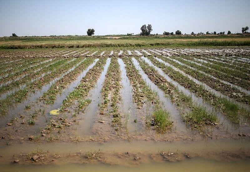 خسارت ۱۷۰۰ میلیارد تومانی بارندگی اخیر به زیرساخت‌ها و بخش کشاورزی شهرستان راور