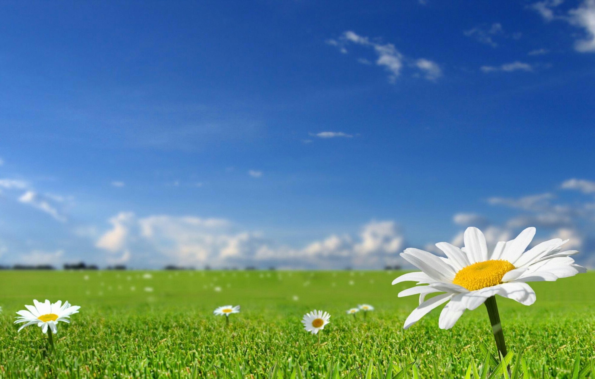 افزایش تدریجی دما در یزد