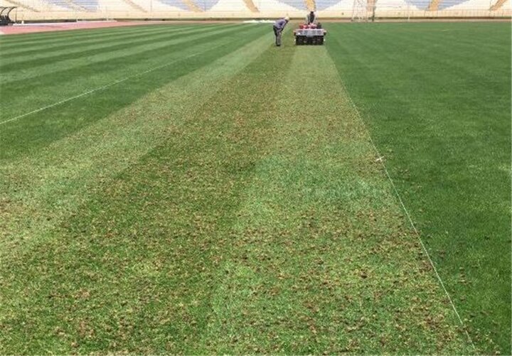 ورود دادستانی تهران به ماجرای آلوده بودن چمن ورزشگاه آزادی