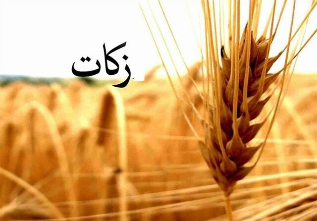 جمع‌آوری ۴۵ میلیارد تومان زکات در برنامه امسال کمیته امداد یزد