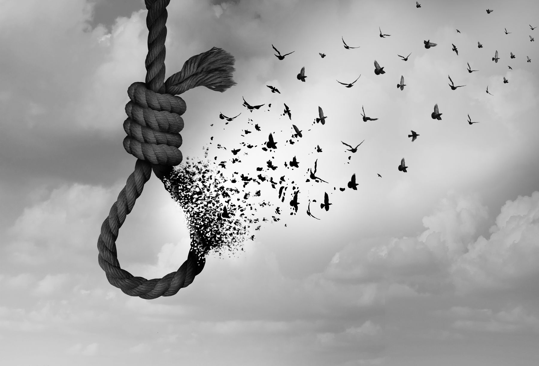رهایی محکوم به اعدام پای چوبه دار