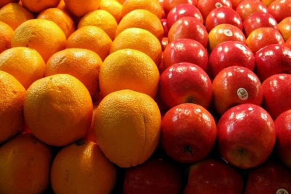 ذخیره سازی ۳۰۰ تن سیب و ۵۰۰ تن پرتقال والنسیا در استان یزد
