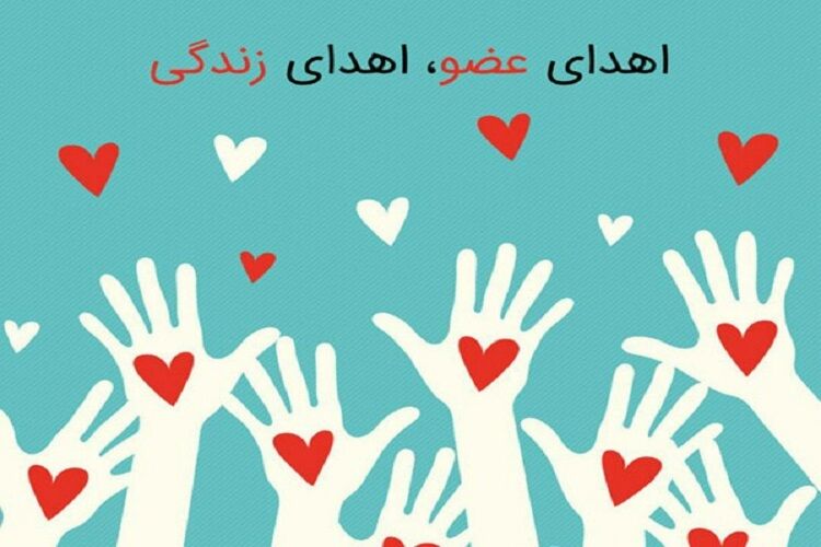 ثبت بیش از ۲۵۰ اهدای عضو در استان یزد
