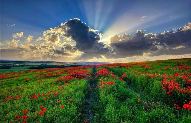 تداوم روند صعودی افزایش دما در استان یزد