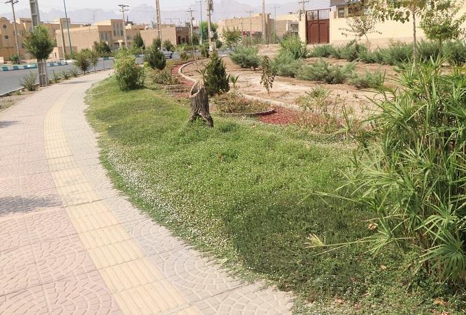 تولید و توسعه کشت گیاه (به لیمو رونده) Phyla nodiflora بعنوان گیاه پوششی جایگزین چمن در فضای سبز برای اولین بار توسط سازمان سیما، منظر و فضای سبز