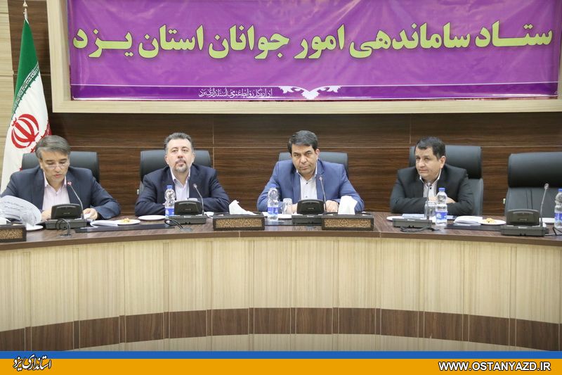  برای برونسپاری فعالیت های دولتی به سازمان های مردم نهاد آمادگی کامل داریم/ از طرح های جوانان در حوزه اشتغال حمایت می کنیم