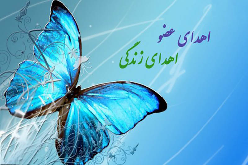 ثبت دهمین پیوند عضو سال جاری در یزد