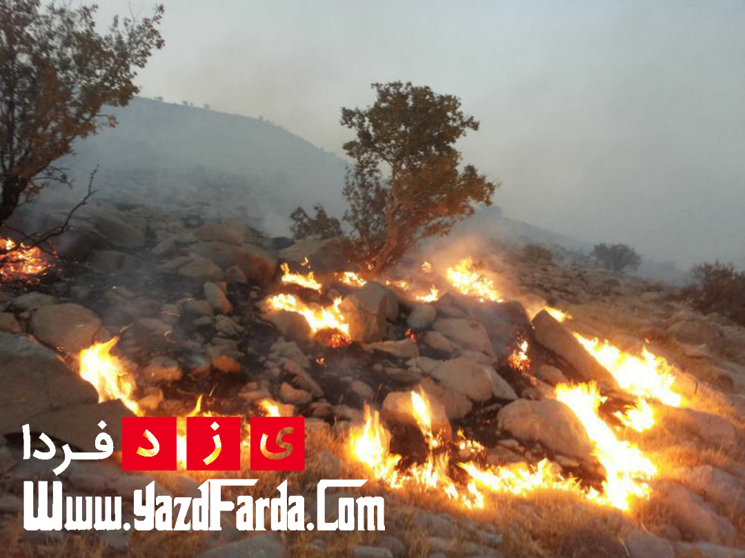 وقوع ۱۳ فقره آتش سوزی در مراتع استان یزد