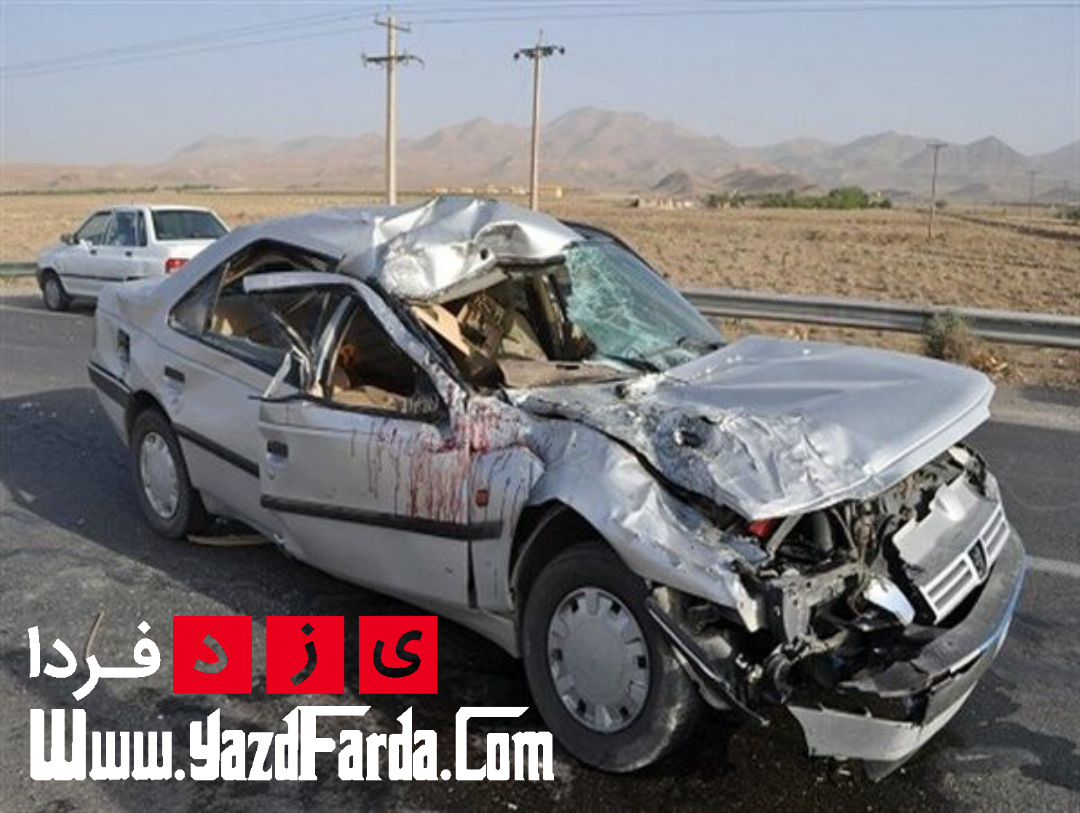 واژگونی خودرو در مهریز موجب زخمی شدن ۱۱ شهروند خارجی شد