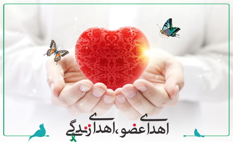 جوان یزدی نجات بخش جان بیماران شد