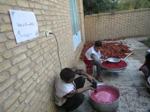 اجرای طرح داوطلب کار روستا در اشکذر توسط  هلال احمر اشکذر+ تصاویر
