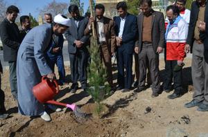 برگزاری روز درختکاری و طرح ملی نهضت سبز باحضور مسئولین وجوانان هلال احمری