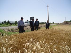  بررسی مسائل و مشکلات کشاورزان شهرستان بهاباد با حضور رئیس سازمان جهاد کشاورزی استان یزد