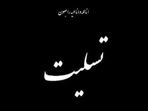 پیام استاندار یزد به مناسبت درگذشت مدیرمسئول هفته نامه سایه بان