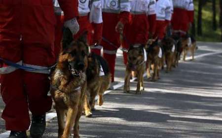 همایش بین المللی سگهای جست و جو، 24 آبان در یزد