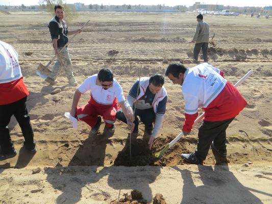  اجرای طرح درختکاری با حضور داوطلبان جمعیت هلال احمر شهرستان یزد