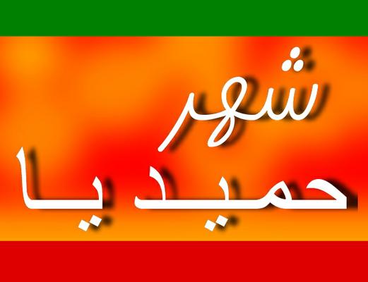 صحت برگزاری انتخابات شورای اسلامی شهر حمیدیا تایید شد+اسامی