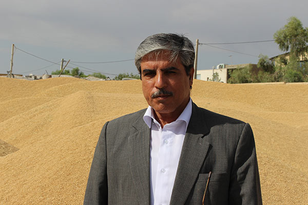 مدیر تعاون روستایی استان یزد:کشاورزی سنتی جوابگوی یزد نیست