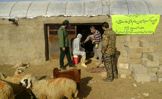 واکسیناسیون بیش از 20000 راس دام سبک بر علیه بیماری طاعون نشخوار کنندگان کوچک در شهرستان بافق استان یزد