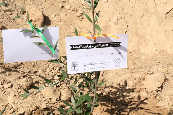 غرس ۱۳۹۶ اصله نهال در یزد با اجرای پویش مردمی# درختی ـ برای ـ آینده