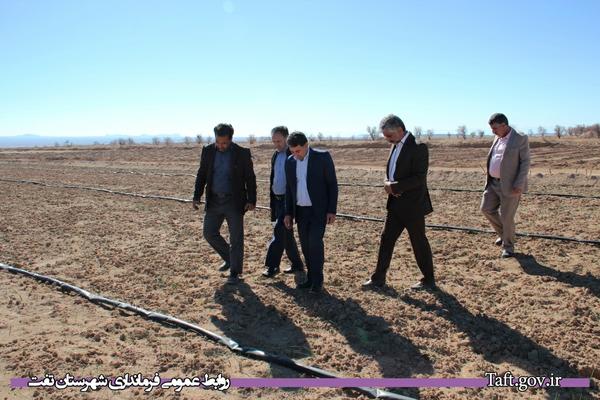 فرماندار شهرستان تفت: کشت گیاهان دارویی و کم آب خواه در شهرستان باعث ایجاد اشتغال پایدار در مناطق روستایی خواهد شد