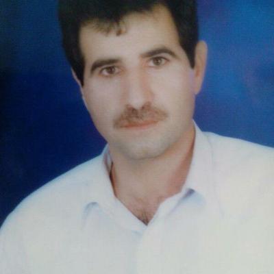 وقتی شهردار نیست                                   