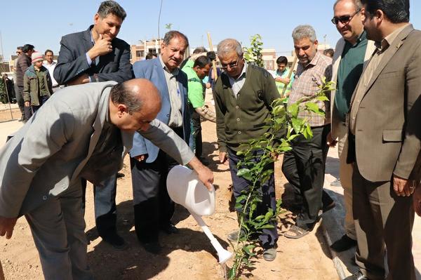 برگزاری جشن درختکاری بمناسبت هفته منابع طبیعی