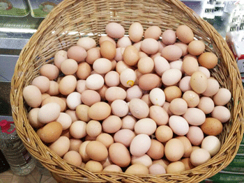 کلاه برداری و تهدید سلامت مردم توسط عده ای سودجو با عرضه تخم مرغ های رنگی صنعتی فاقد نشان به عنوان تخم مرغ بومی