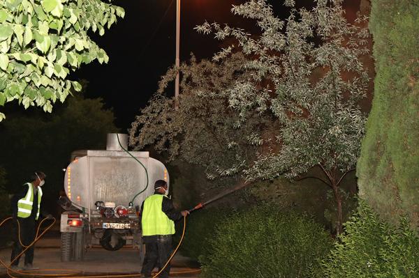 سمپاشی و محلول پاشی بهاره درختان فضای سبز سطح شهر آغاز گردید.