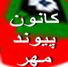 دبیر شبکه فعالین ازدواج یزد: کانون پیوند مهردر این استان راه اندازی شد