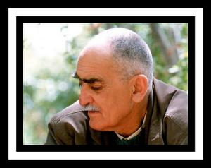 زندگینامه: ایرج افشار