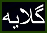 گلایه رئيس سابق دانشگاه پيام نور مهريز: مسئولين در جابجاي افراد حرمت شخص را نگه دارند(6 نظر)