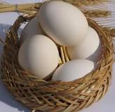 غنی سازی تخم مرغ، بهترین راه برای  تامین امگا ۳ مورد نیار بدن است