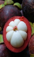  عجیب ترین میوه‌های جهان و یا به قولی هرگز ندیده !!!/ تصاویر 