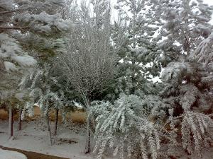 بارش بی سابقه برف بعد از طوفان سرخ در یزد+عکس