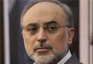 صالحی :بازدید از پارچین منوط به نتیجه مذاکرات طرفین است